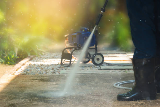 Best Graffiti Removal  in Pine Island Center, FL